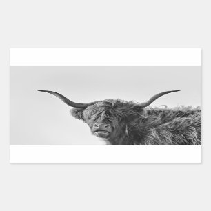 Sturdy highland cow in monochrome rectangular sticker