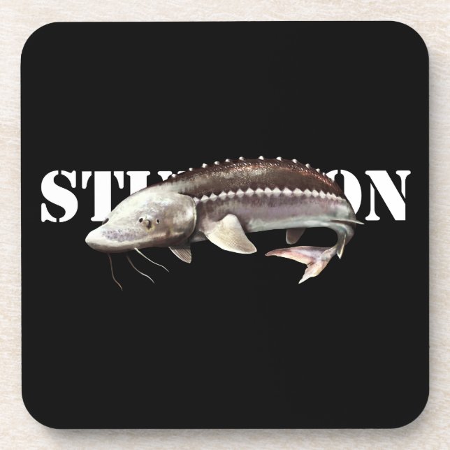 Sturgeon Coaster (Front)