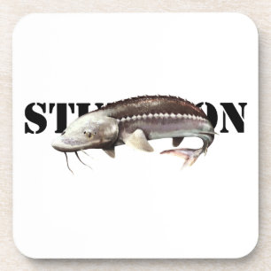 Sturgeon Coaster