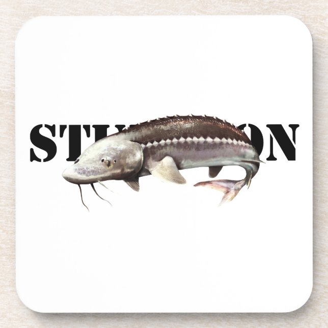 Sturgeon Coaster (Front)