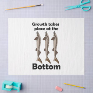 Sturgeon Fish Growth Takes Place At The Bottom Tissue Paper