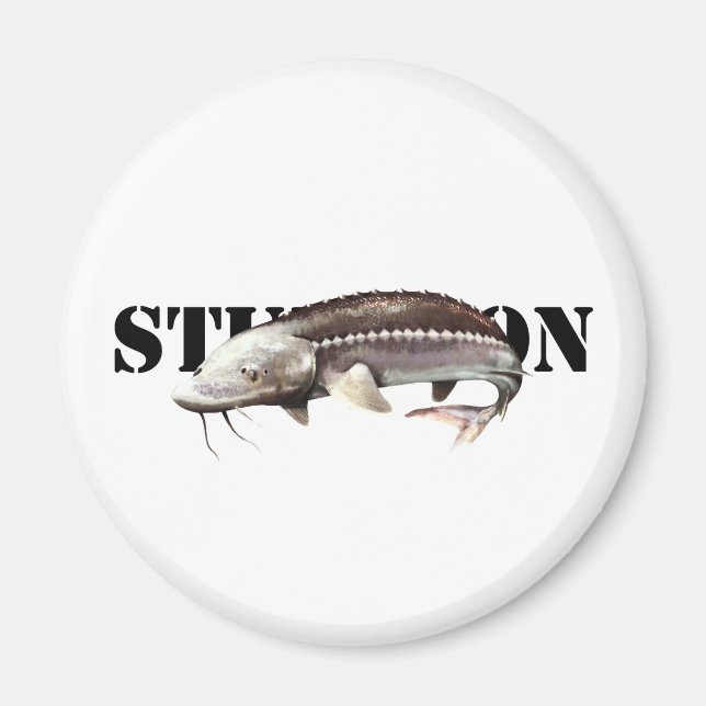 Sturgeon Magnet (Front)