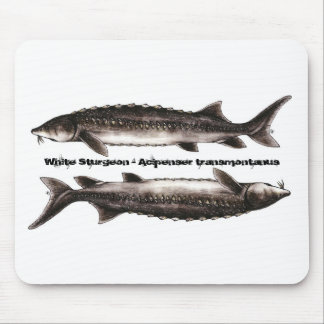 Sturgeon Mouse Pad - White Sturgeon