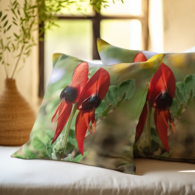 Sturt Desert Pea Cushion (Creator Uploaded)