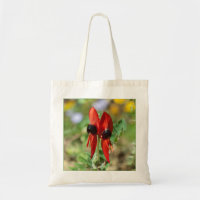 Sturt Desert Pea