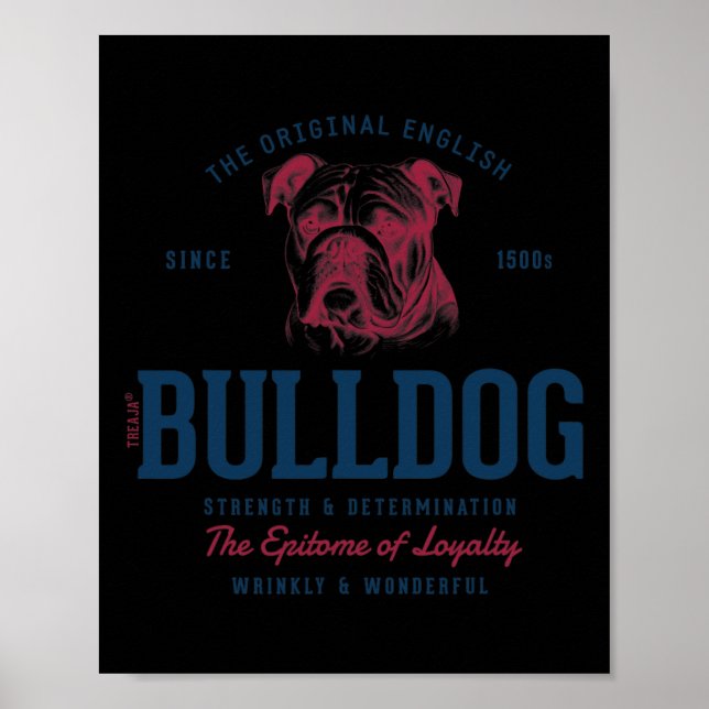 Styled Vintage English Bulldog  Poster (Front)