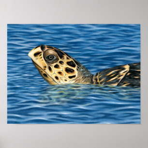 Stylised Basking Hawksbill Sea Turtle Poster