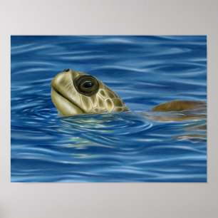 Stylised Basking Olive Ridley Sea Turtle Poster