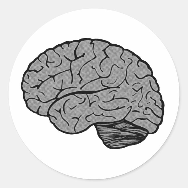 Stylised Brain Stickers (Front)