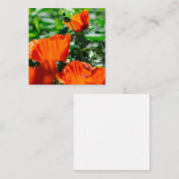 Stylised Garden Red Orange Poppy Flowers