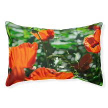 Stylised Garden Red Orange Poppy Flowers