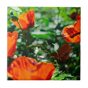 Stylised Garden Red Orange Poppy Flowers Tile