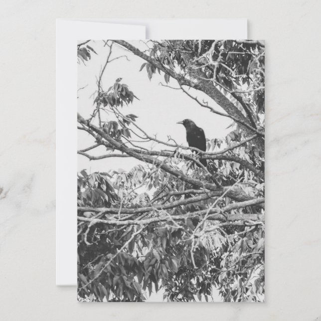 stylised high-contrast American gothic crow art Holiday Card (Front)