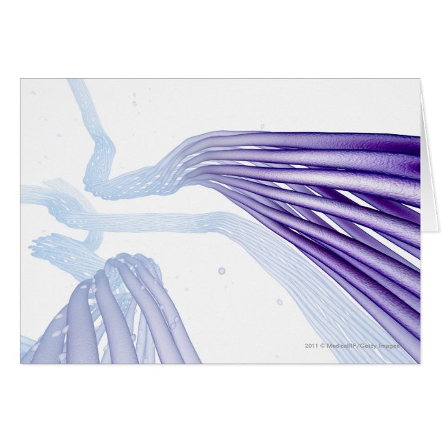Stylised nerve fibres (Front Horizontal)