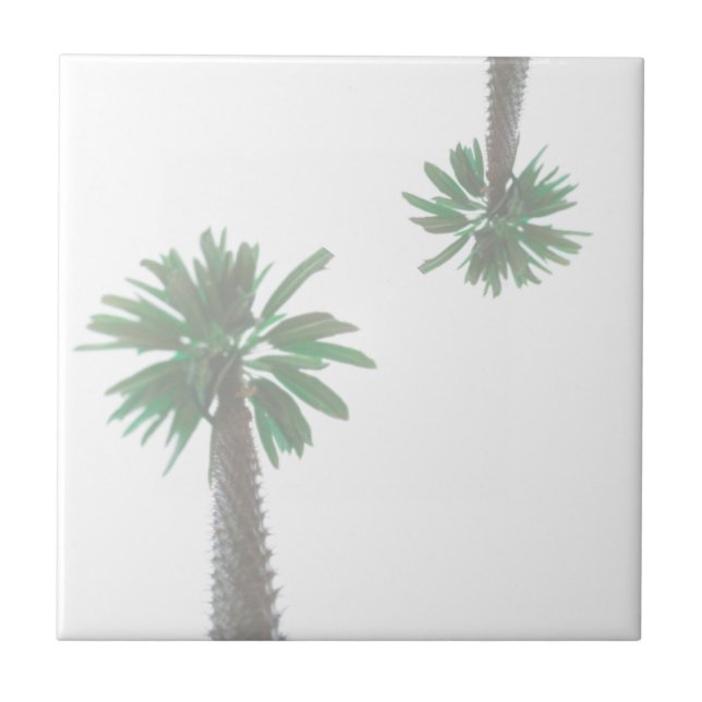 Stylised Palm Tree Pastel Green Tropical Tile (Front)
