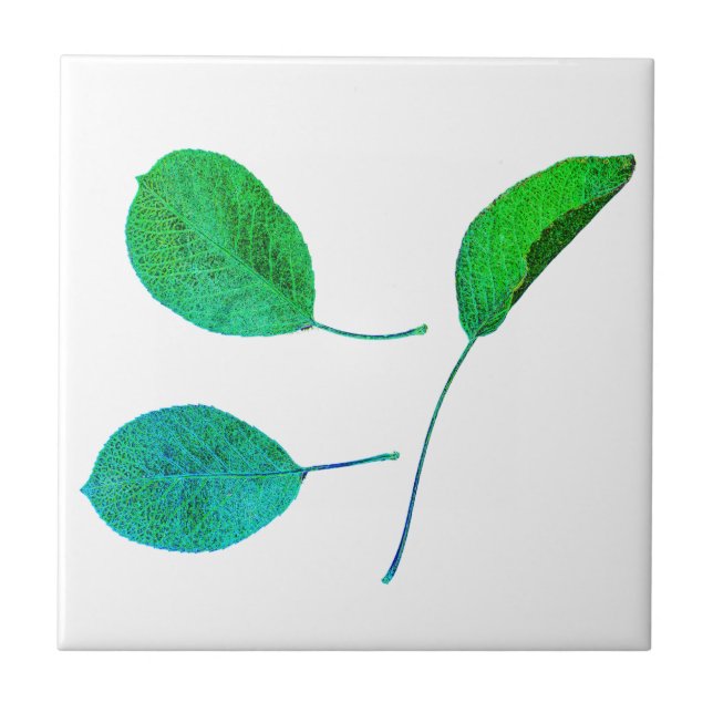Stylised Pear Tree Leaf Texture Print Tile (Front)