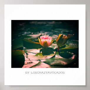 Stylised Pink Water Lily Flowers Plants Poster