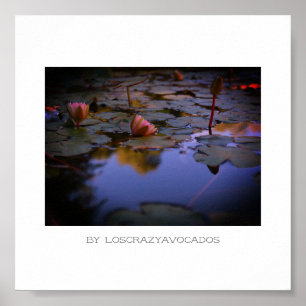 Stylised Pink Water Lily Flowers Pond Poster