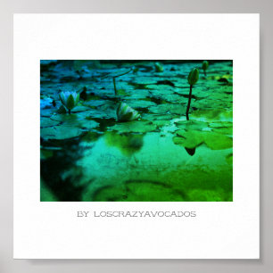 Stylised Pink Water Lily Flowers Pond Poster
