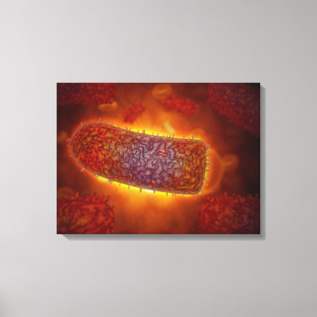 Stylised Rabies Virus Particles 2 Canvas Print (Front)