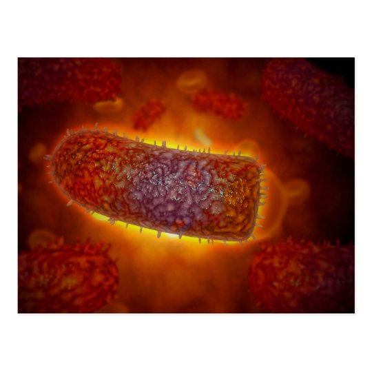 essay on rabies virus Rabies epidemiology rabies virus is the part of the express your owns thoughts and ideas on this essay by writing a grade and/or critique. essay on rabies virus Rabies epidemiology rabies virus is the part of the express your owns thoughts and ideas on this essay by writing a grade and/or critique.