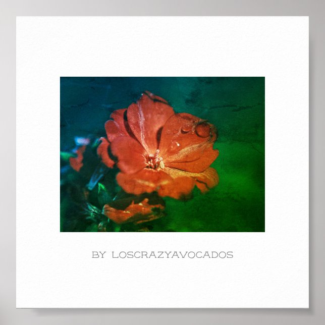 Stylised Red Green Geranium Flower Poster (Front)