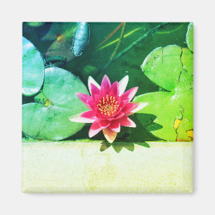 Stylised Red Green Water Lily Flower Plants Magnet