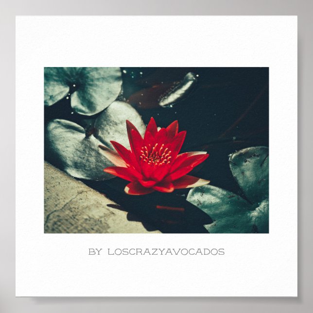 Stylised Red Green Water Lily Flower Plants Poster (Front)