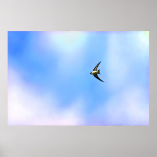Stylised Swallow soaring Poster
