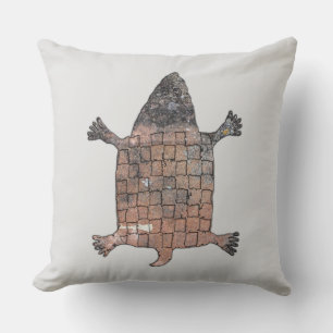 Stylised Turtle - Mimbres Pottery Design Cushion