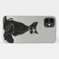 Stylish Cat Design iPhone 11 Case