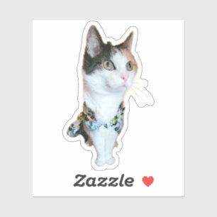 Stylish Cat Funny Sticker