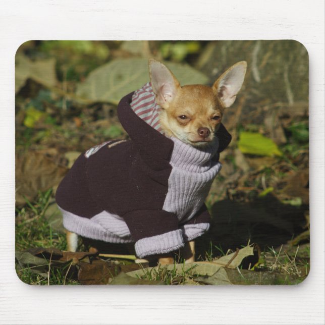 Stylish Chihuahua Mouse Pad (Front)