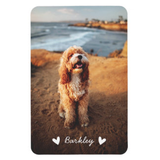 Stylish Cute Hearts Pet Photo Name | White Magnet