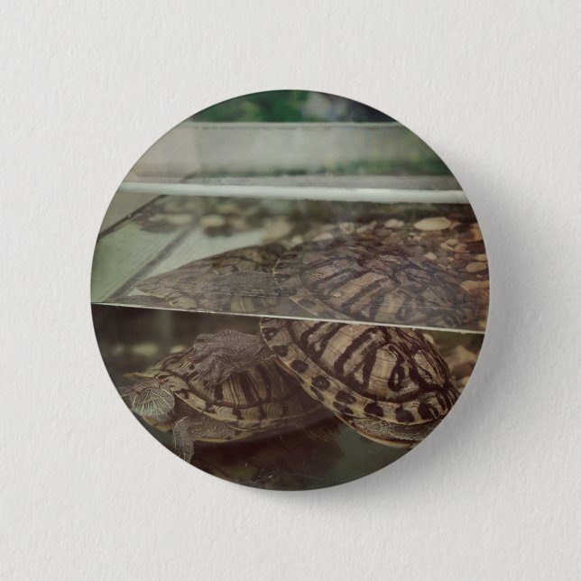 Stylish Earth-Toned Button Pin (Front)