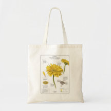 Stylish Everyday Tote Bag – Trendy Artwork