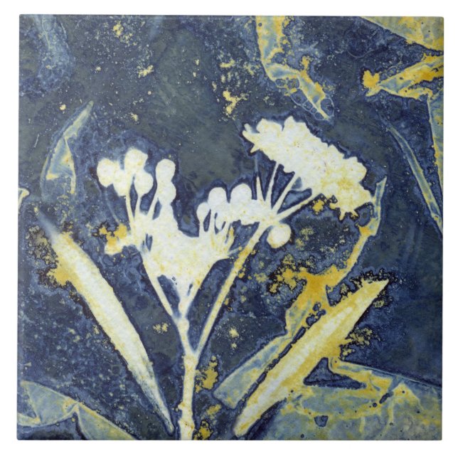 Stylish Floral Botanical Cyanotype Tile (Front)