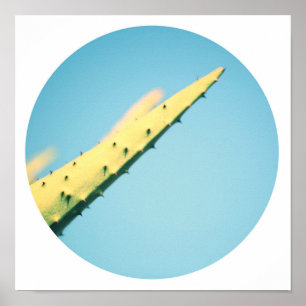 Stylish Green Cactus Thorns Blue Sky Poster