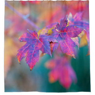 Stylish Japanese Maple leaves Shower Curtain