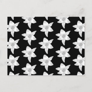 Stylish Lily Pattern in Black and White. Postcard