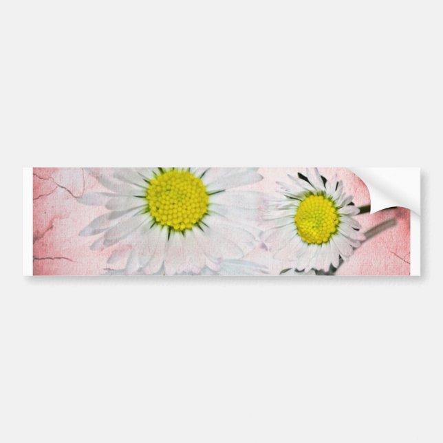 Stylish Mod Surprise Whimsical Classy Destiny Bumper Sticker (Front)