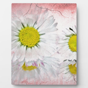 Stylish Mod Surprise Whimsical Classy Destiny Plaque