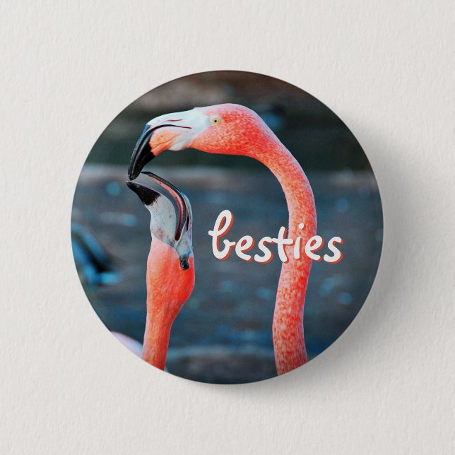 Stylish Modern Pink Flamingos Photo Besties Script 6 Cm Round Badge (Front)
