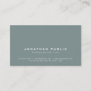 Stylish Modern Professional Minimalist Plain Business Card