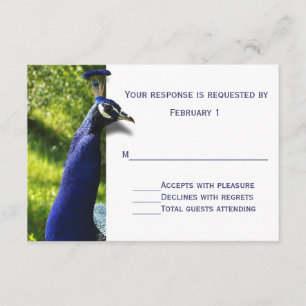 Stylish Peacock Wedding Response RSVP Card
