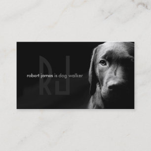Stylish pet care dog walker walking business card