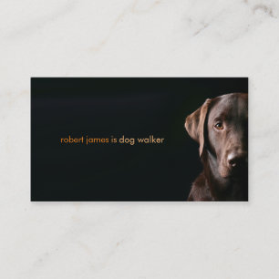 Stylish pet care dog walker walking business card