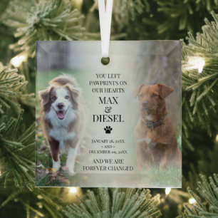 Stylish Pet Memorial 2 Dog Photo Glass Tree Decoration