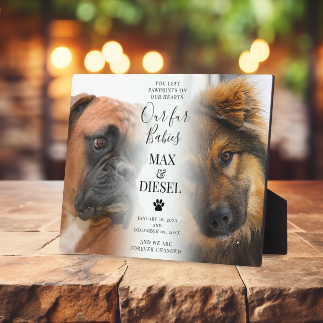 Stylish Pet Memorial 2 Dog Photo Plaque (Creator Uploaded)