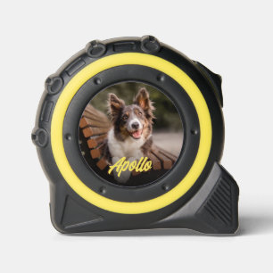 Stylish Pet Photo and Name 1